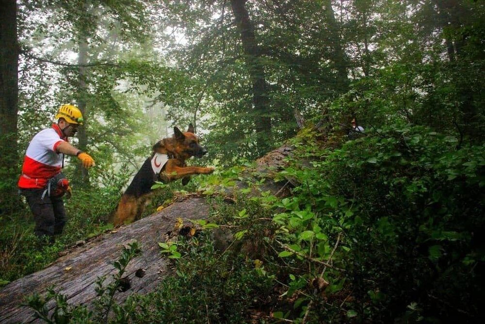 ماجرای گم شدن سها رضانژاد در ارتفاعات گلستان ماجرای گم شدن سها رضانژاد در ارتفاعات گلستان