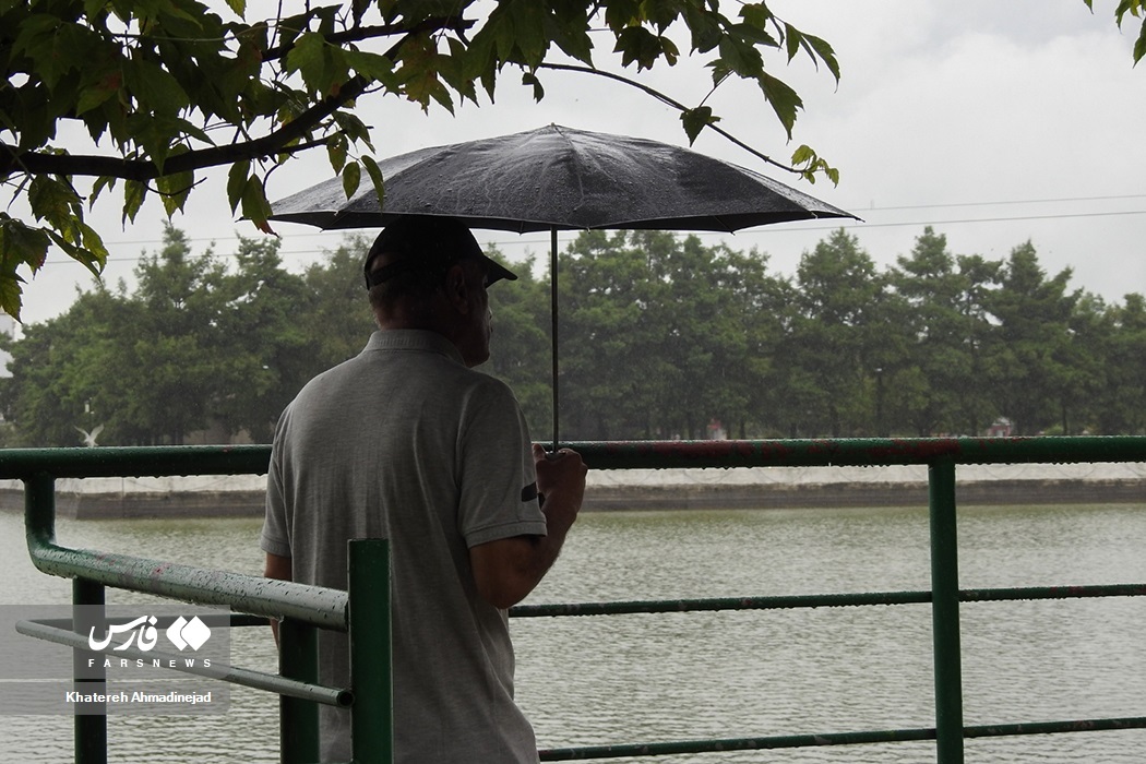 تصاویر: بارش تابستانی باران در «گیلان» تصاویر: بارش تابستانی باران در «گیلان»
