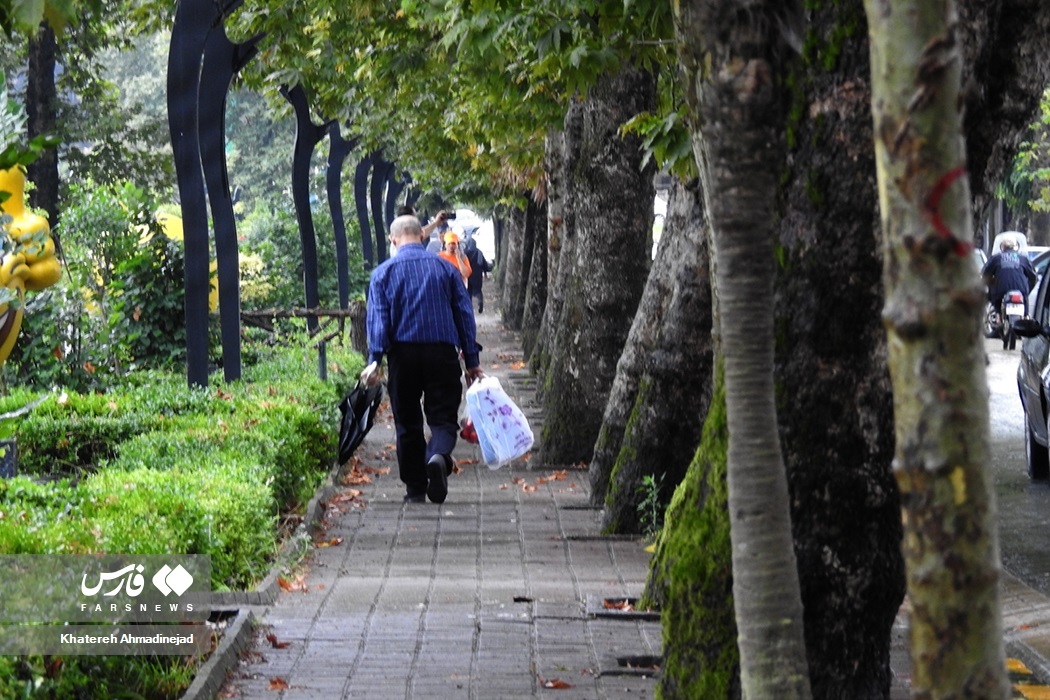 تصاویر: بارش تابستانی باران در «گیلان» تصاویر: بارش تابستانی باران در «گیلان»