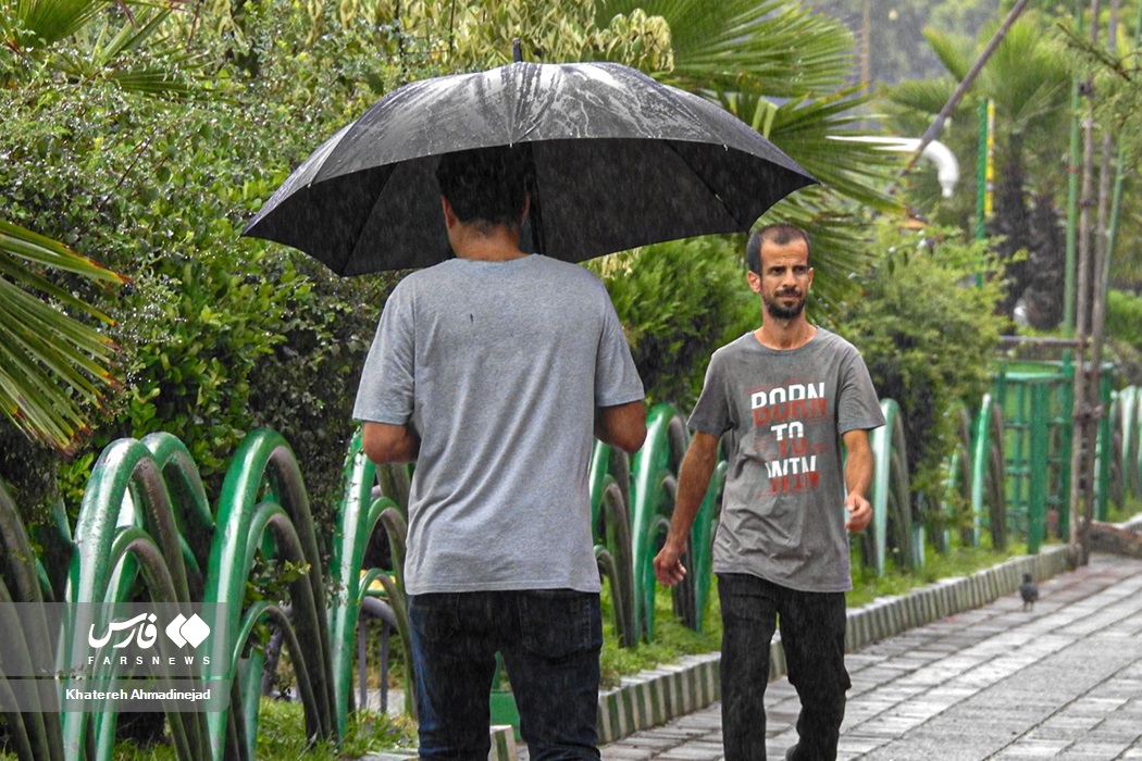 تصاویر: بارش تابستانی باران در «گیلان» تصاویر: بارش تابستانی باران در «گیلان»