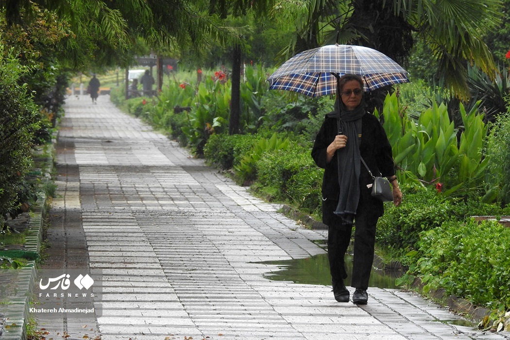 تصاویر: بارش تابستانی باران در «گیلان» تصاویر: بارش تابستانی باران در «گیلان»