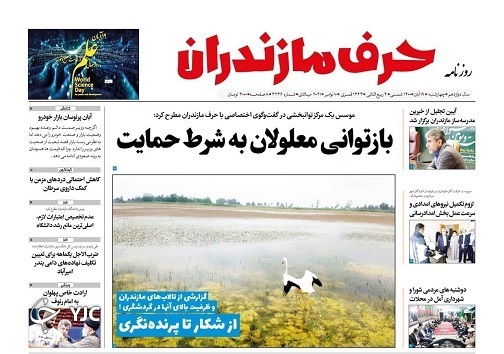 از شکار تا پرنده نگری / مدیران فرسوده استراحت کنند از شکار تا پرنده نگری / مدیران فرسوده استراحت کنند