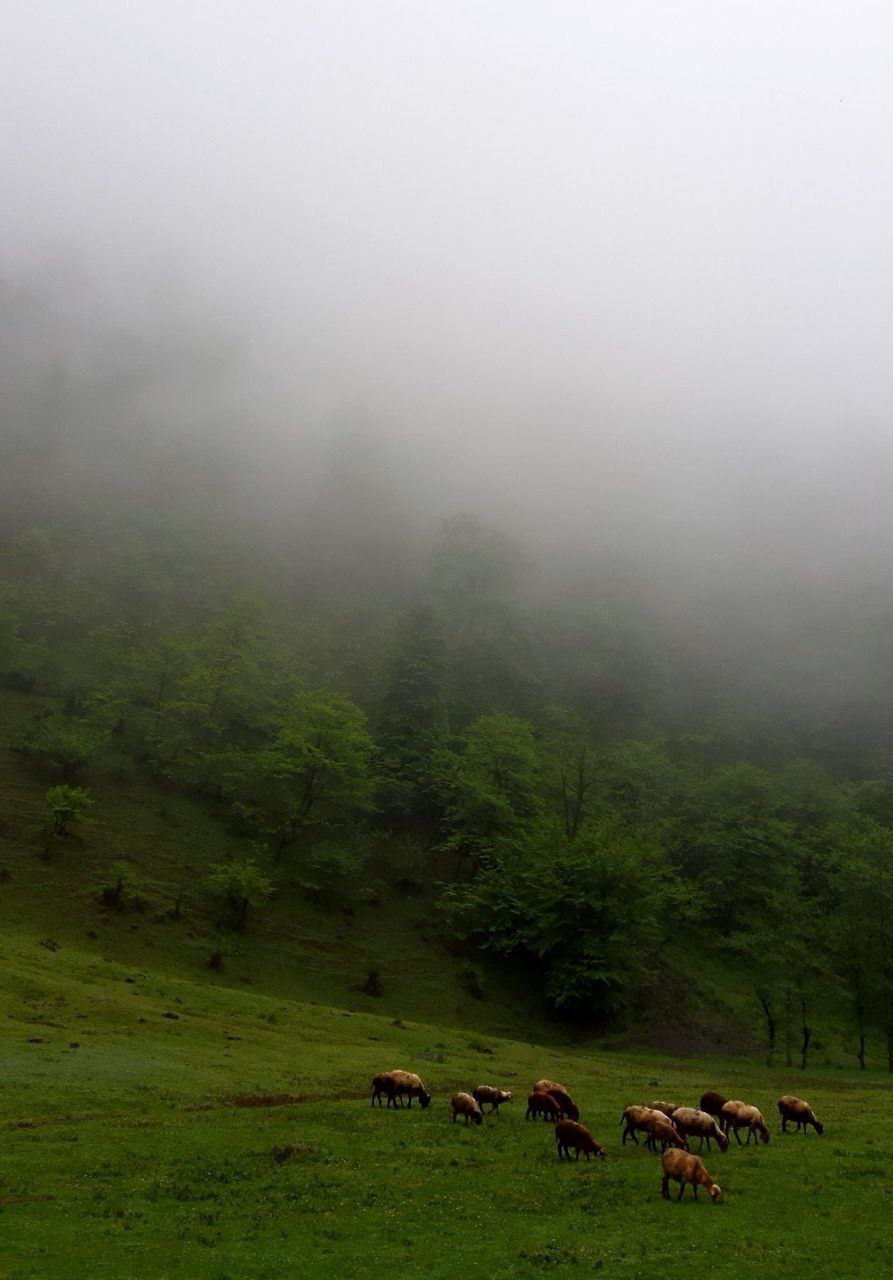 تصویری رویایی از سوادکوه مازندران