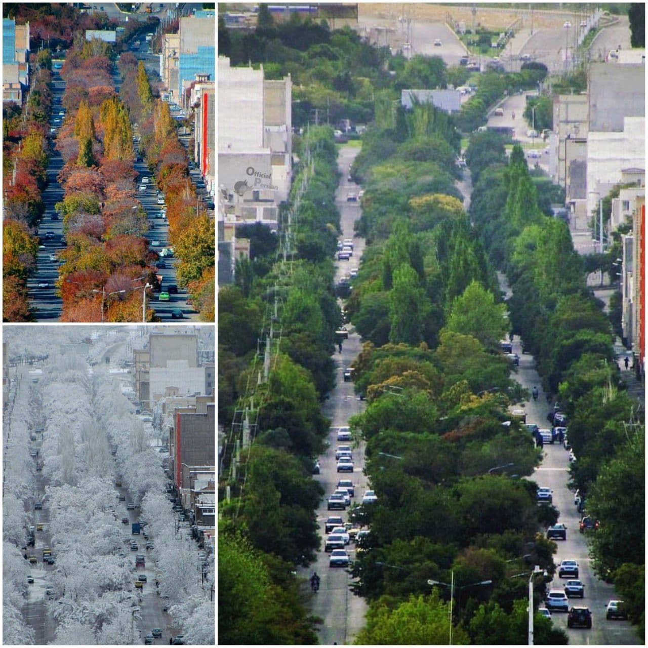 بلوار اصلیِ شهرِ بیجار
