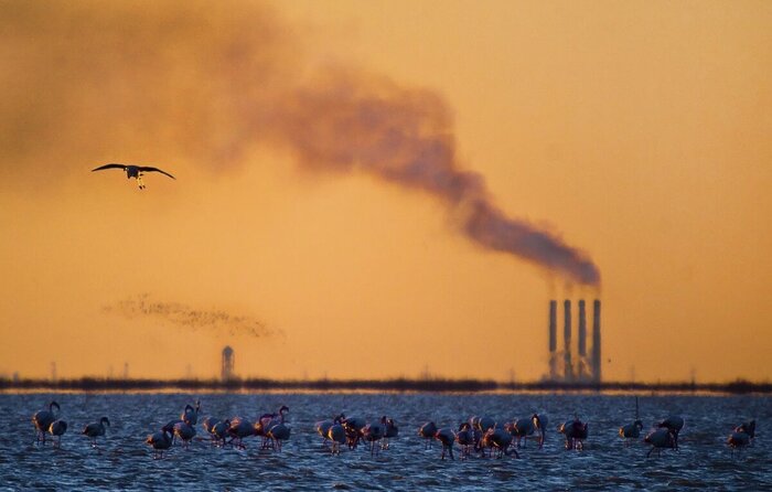 واحد چهار نیروگاه نکا به مدار تولید برق برگشت