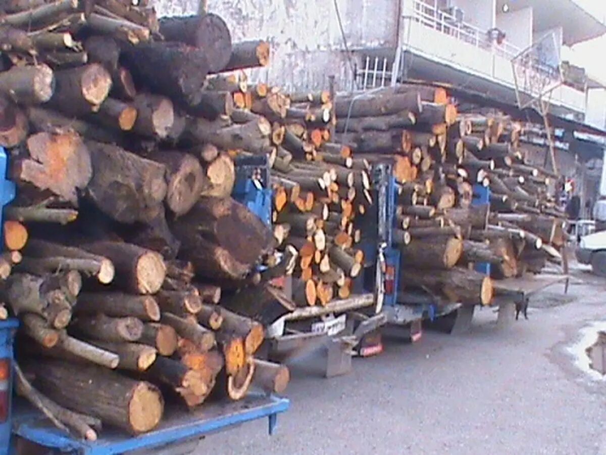 افزون بر ۲۰۰ قاچاقچی چوب‌آلات جنگلی در غرب مازندران دستگیر شدند