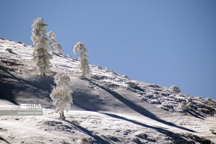 برف جای آتش را گرفت؛ «الیت» سفیدپوش شد
