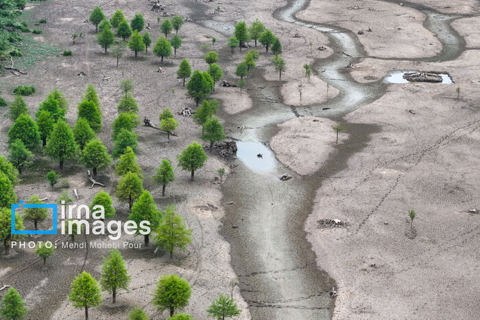 آخر این قصه بیابان است