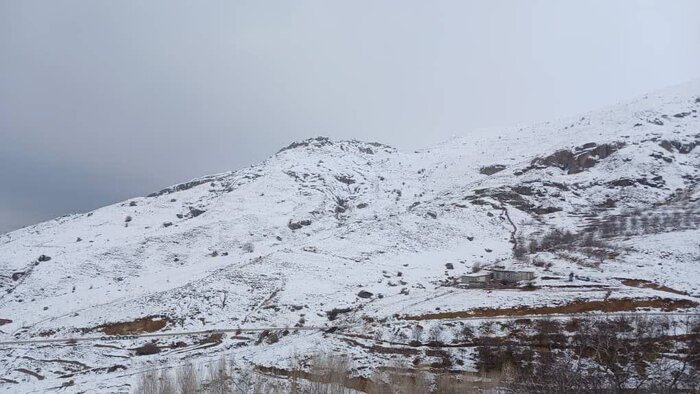 حریر سفید بر تن مازندران؛ هراز این روزها با برف دلبری میکند