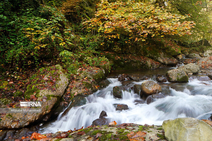 طبیعت مازندران فروشی نیست