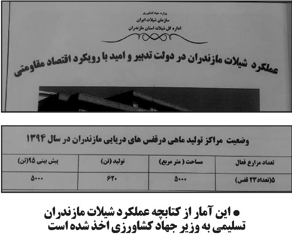 بقا به شرط جفا؟!/اداره‌کل شیلات مازندران آمار دروغ به استاندار می‌دهد؟