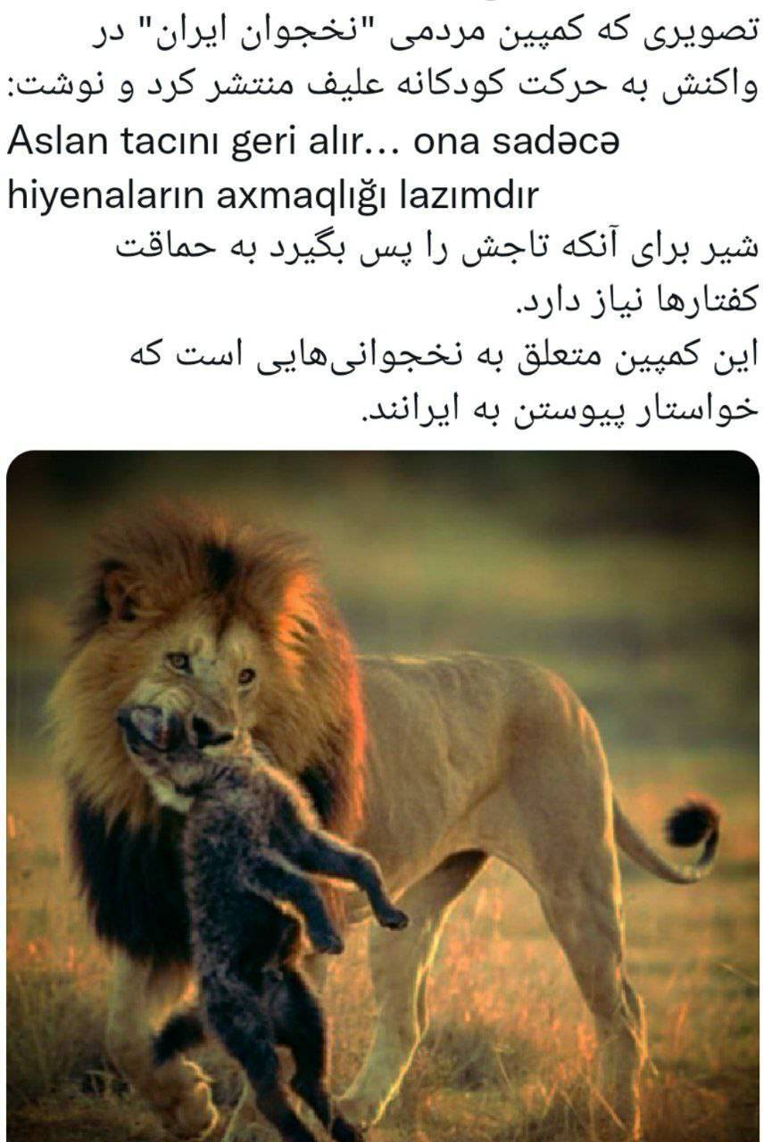 کمپین نخجوانی ها