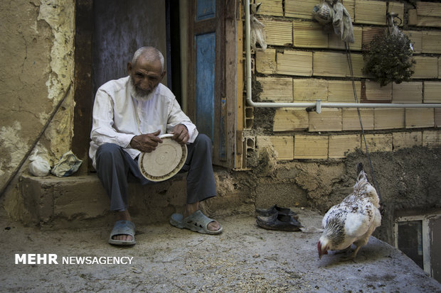 مشتی اسماعیل که در خانه اش چندین مرغ دارد روزانه دو بار برایشان غذا میریزد و در کنارشان مینشیند .