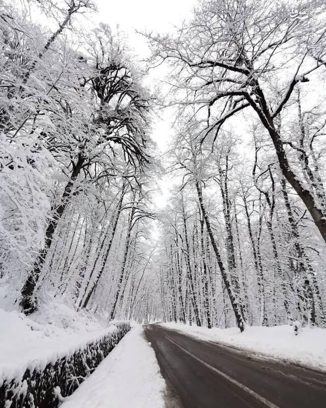 عکس: سید تقی رضایی