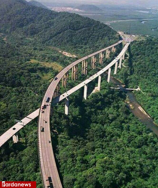 عکس: ساخت بزرگراه در برزیل بدون قطع درختان