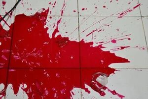 رحمانی: راز قتل مرد ۶۷ ساله در سیاهکل فاش شد