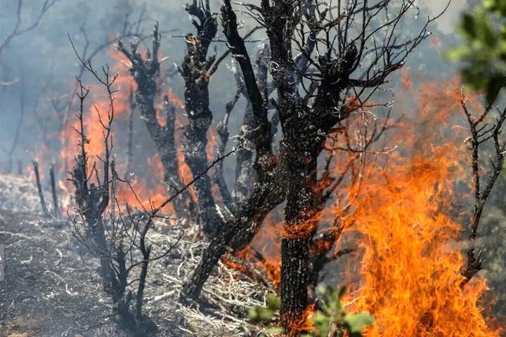 سرهنگ مرادی: بالگرد ویژه اطفای حریق در غرب مازندران مستقر می‌شود