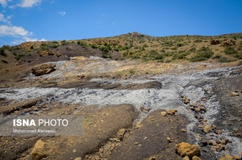 57320237_mohammad-alerasool-4