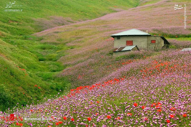 عکس/ بهشت طبیعت جاده اسالم-خلخال