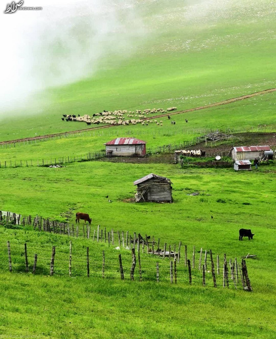 عکس / طبیعت زیبای تالش گیلان عکس / طبیعت زیبای تالش گیلان