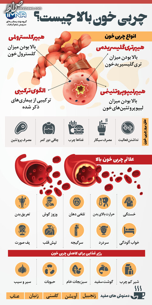 اینفوگرافیک| چربی خون بالا چیست؟ +علائم اینفوگرافیک| چربی خون بالا چیست؟ +علائم