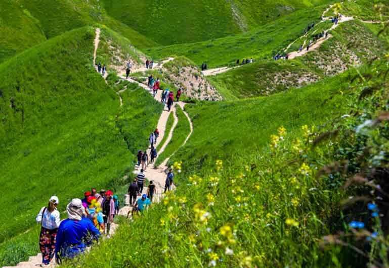 بال‌های شکسته گردشگری جهانی در مازندران| گردشگران اکو در راه هستند