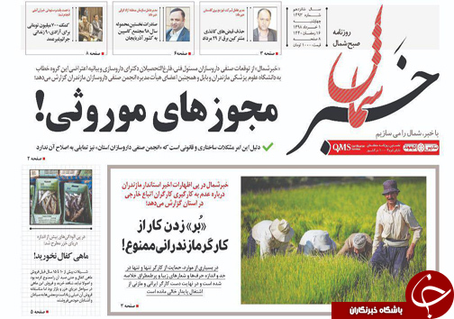 شمال پیر می‌شود/ ماهی کفال نخورید!