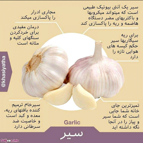 ↕ آیا میدانید چرا سیر در سفره نوروزی ایرانیان قرار دارد⁉ - عکس ویسگون